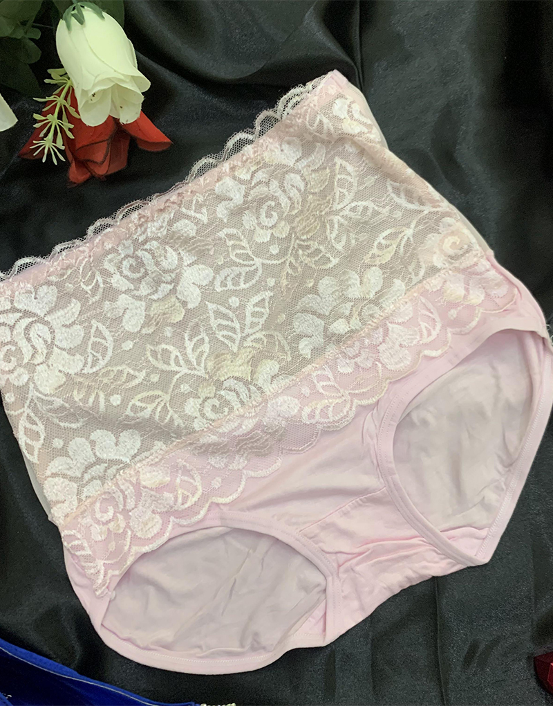 Floral Net & Soft Fabric Panty with Sheer Back - The Dazzling Desires